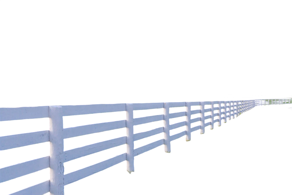 Background removal result using FAPIhub API — clean transparent cutout