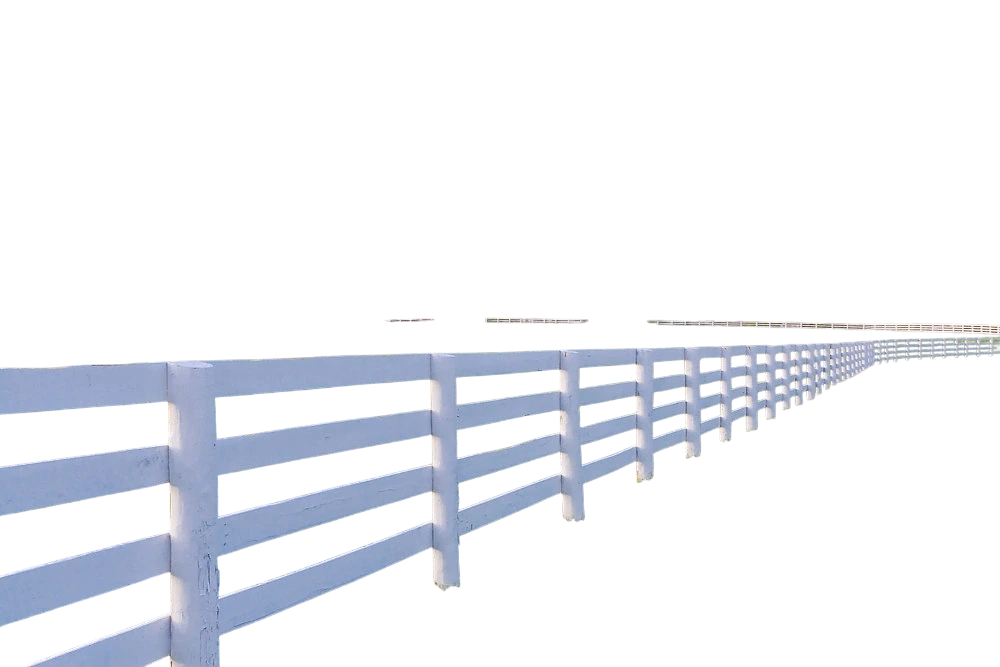 Background removal result using PhotoRoom — photo cutout