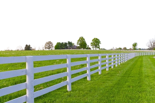 Background removal result using remove.bg — photo cutout